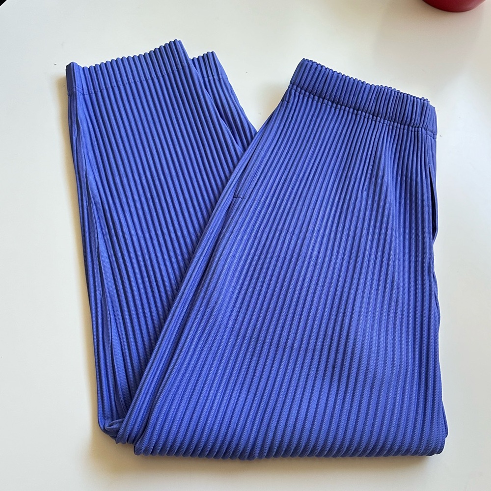 Homme Plisse Issey Miyake pleated pants